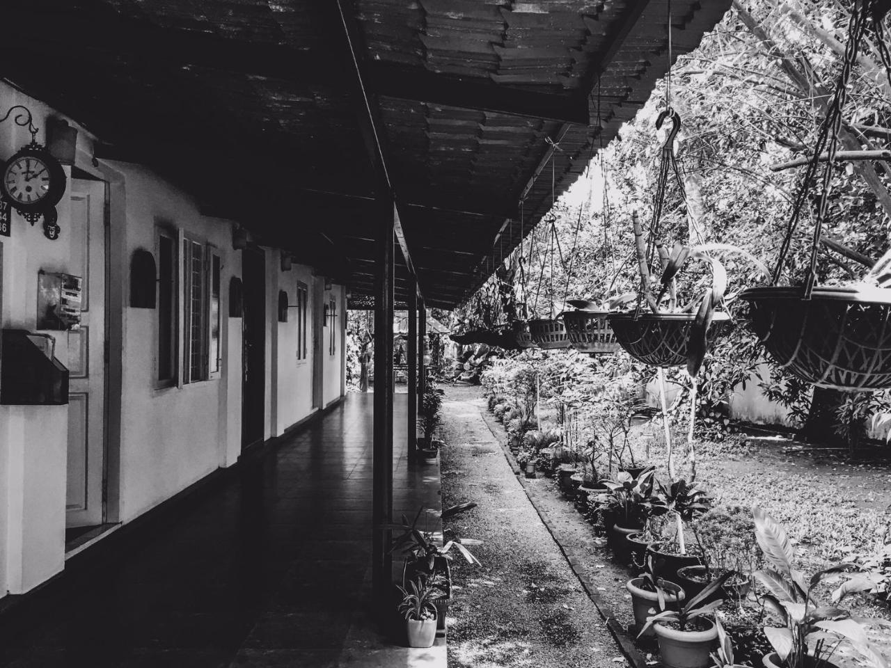Kochi بالم غروف سيرفيس فيلا المظهر الخارجي الصورة